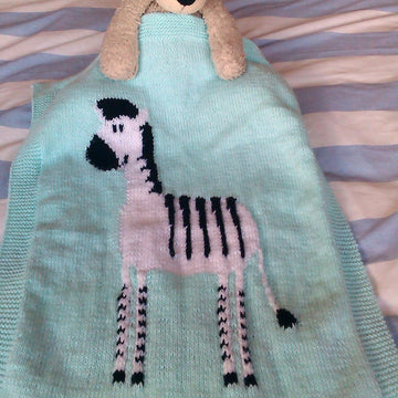 Zebra blanket