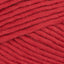 Burgundy (16)