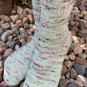 Rosette Windows Socks