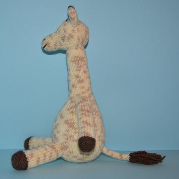 Jason The Giraffe