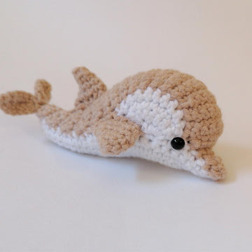 Dolphin