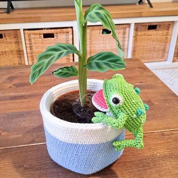 Frog Hanging Planter