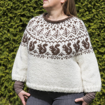 SQUIRREL Icelandic Lopapeysa Sweater for Adults and Kids