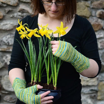 Remember the Daffodils