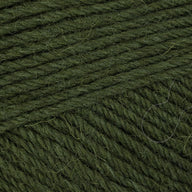 Spruce Forest (391)