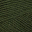 Spruce Forest (391)