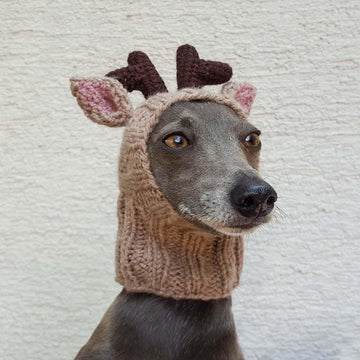 Reindeer Dog Hat