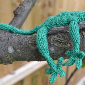 Lizard