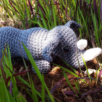Romping Rhino