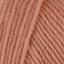 Salmon (86)