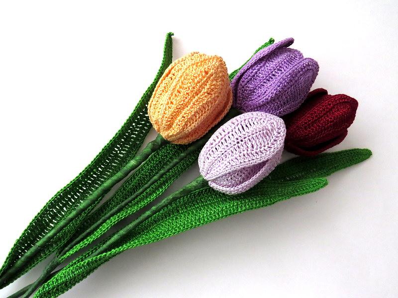 Tulip flower long stem