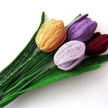 Tulip flower long stem