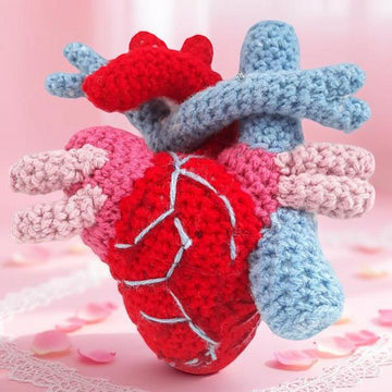 Anatomical Heart
