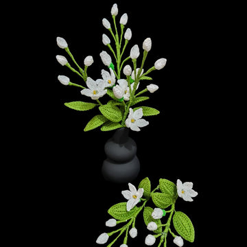 Jasmine flowers