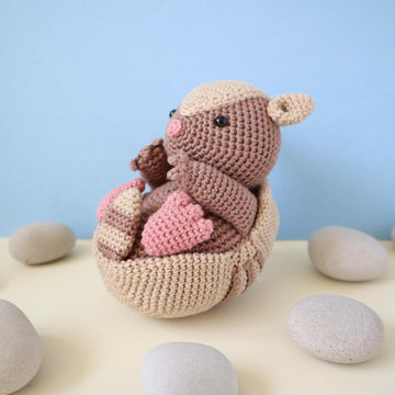 Arlo the Armadillo Amigurumi