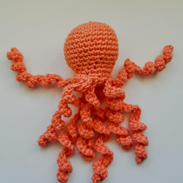 Octopus