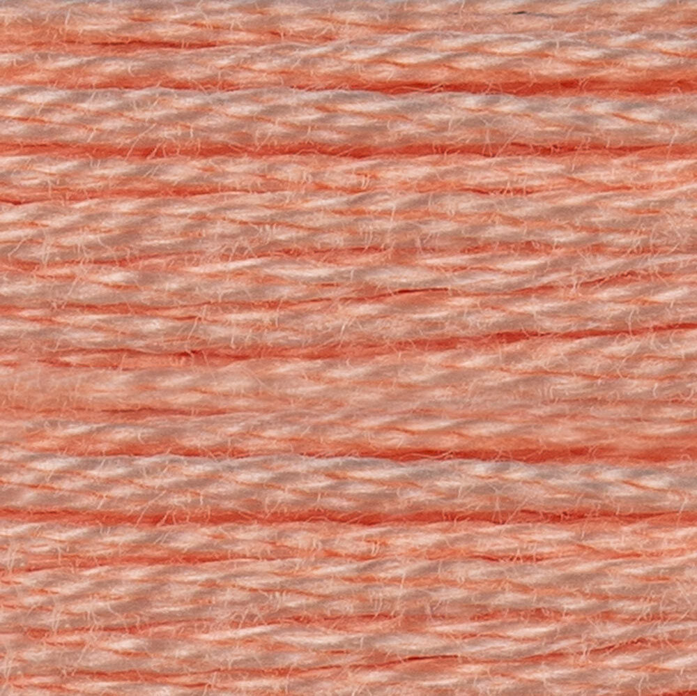 DMC 6 Strand Embroidery Floss - Warm Shades