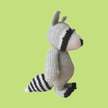 Ricky the Raccoon