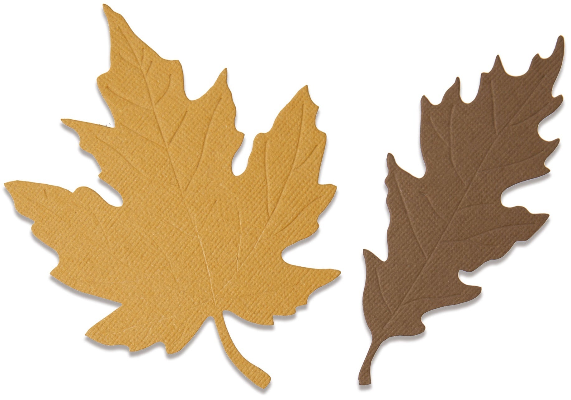 Sizzix Bigz Die By Jenna Rushforth - Autumnal Leaves