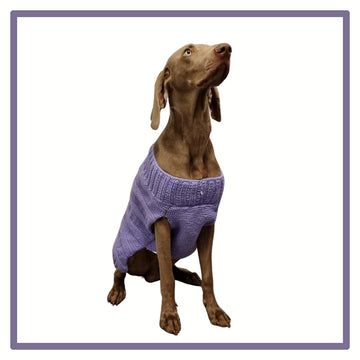 Valentine XL Dog Jumper