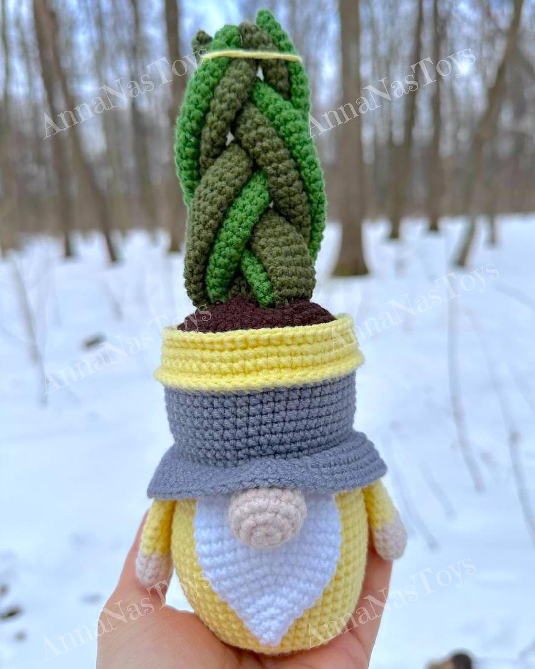 Gnome succulent-sansevieria 2