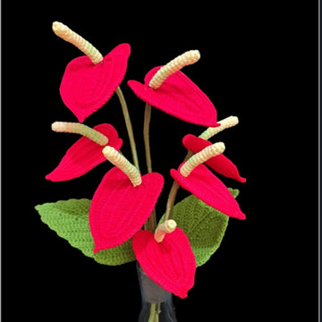 Anthurium flower