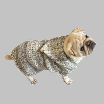 Rockies Hoodie Dog Coat