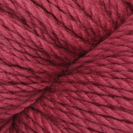 Carnation (14)