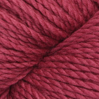 Carnation (14)