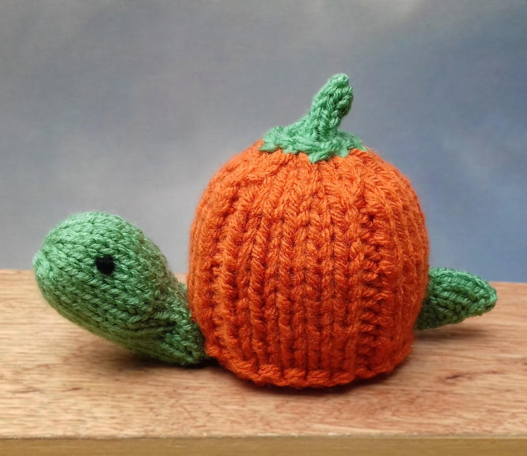 Pumpkin Tortoise - Chocolate Orange Cover