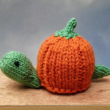 Pumpkin Tortoise - Chocolate Orange Cover