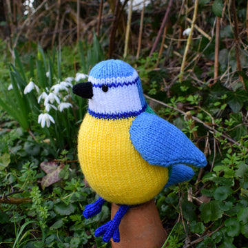 Beverley the Blue Tit
