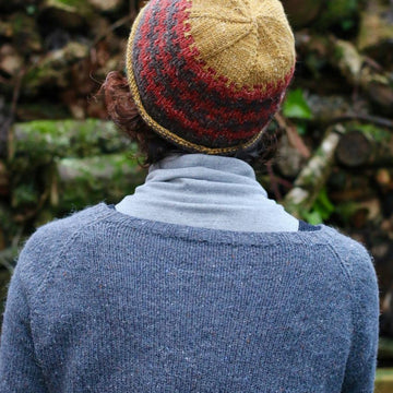 Clypea Nua