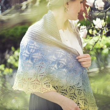 Brie Shawl