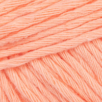 Coral Reef (110)