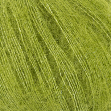 Kiwi (66)
