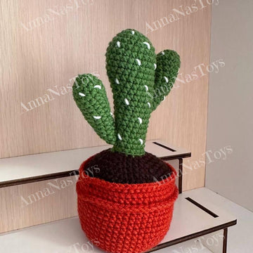 Cactus 2 in a pot