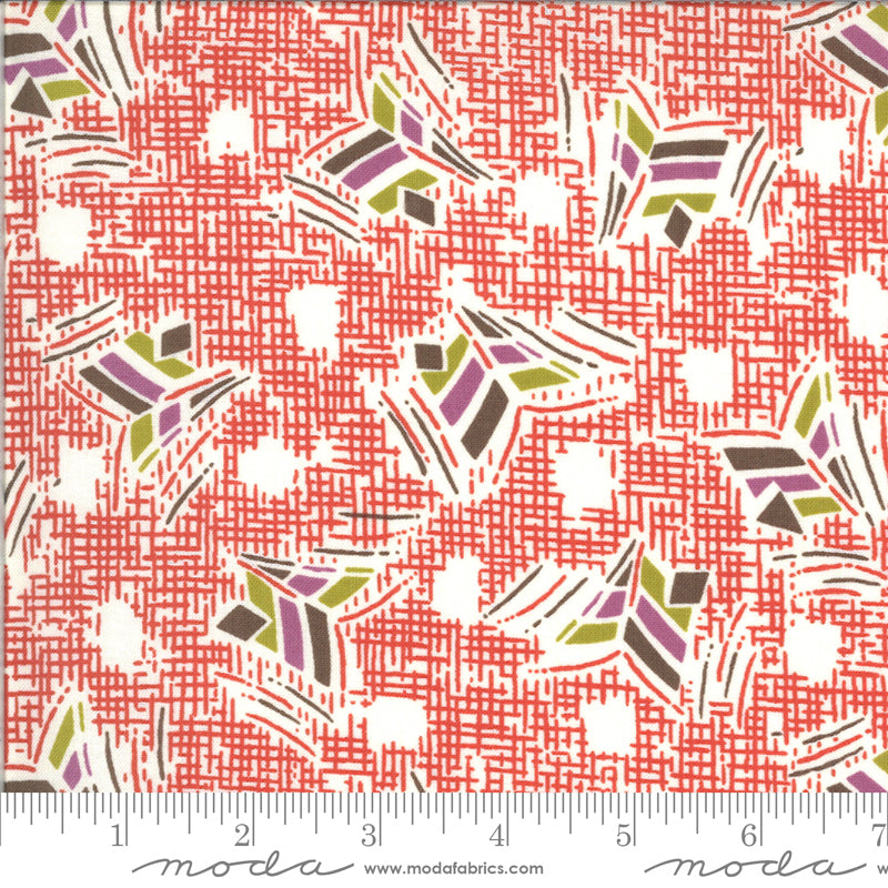 Moda Fabrics Winkipop - 1819213