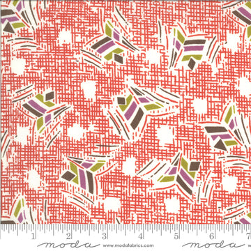 Moda Fabrics Winkipop - 1819213
