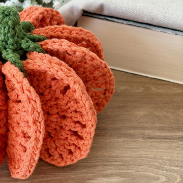 Pumpkin Coaster Set