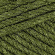 Fern (3309)