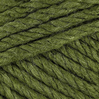 Fern (3309)