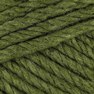 Fern (3309)
