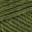 Fern (3309)