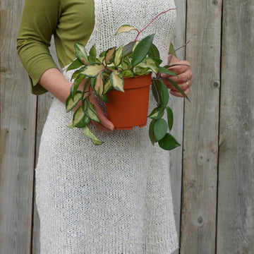 Japanese Pinafore Linen Apron
