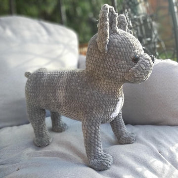 French Bulldog dog