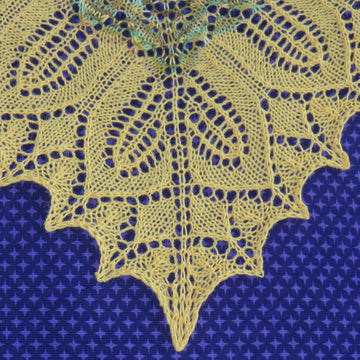 Heliantus Annuus Shawl