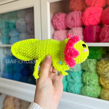 Anna the Medium Axolotl