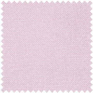Pale Rose
