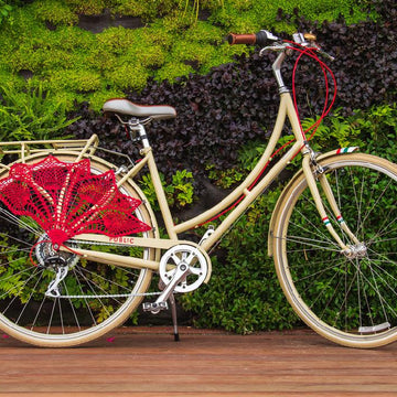 Bicycle Skirt Guard